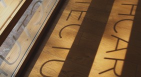 Investigación y Docencia